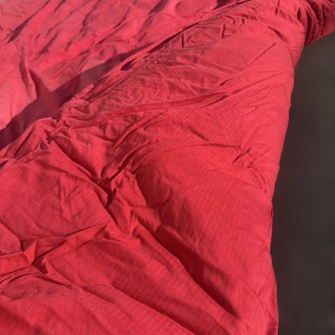 JAPAN LIFE 赤 羽毛掛け布団