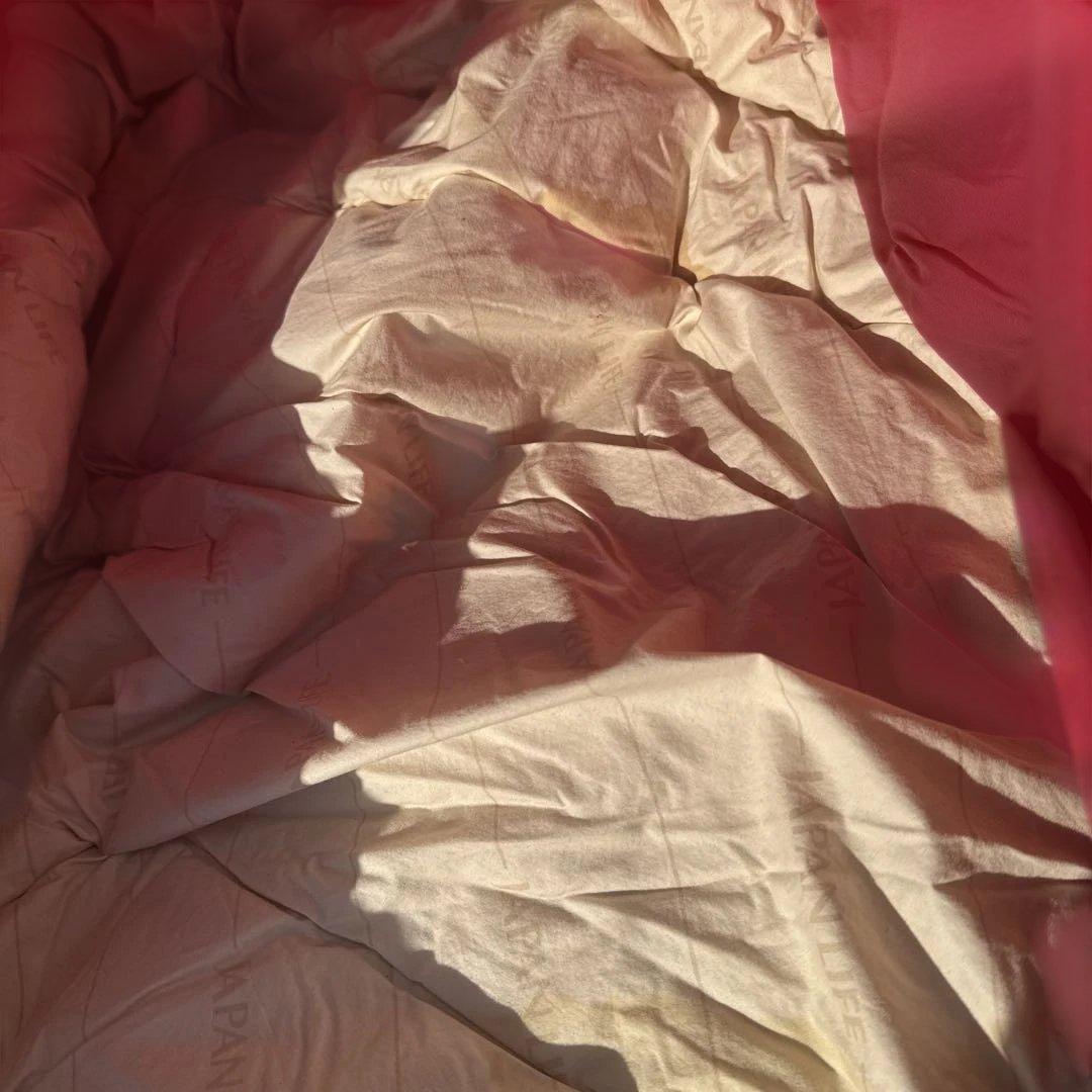 JAPAN LIFE 赤 羽毛掛け布団