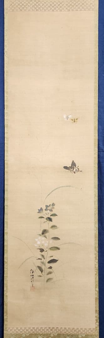 【桔梗に蝶々図】狩野伊川院栄信 2696 江戸狩野派 古画 掛け軸 肉筆