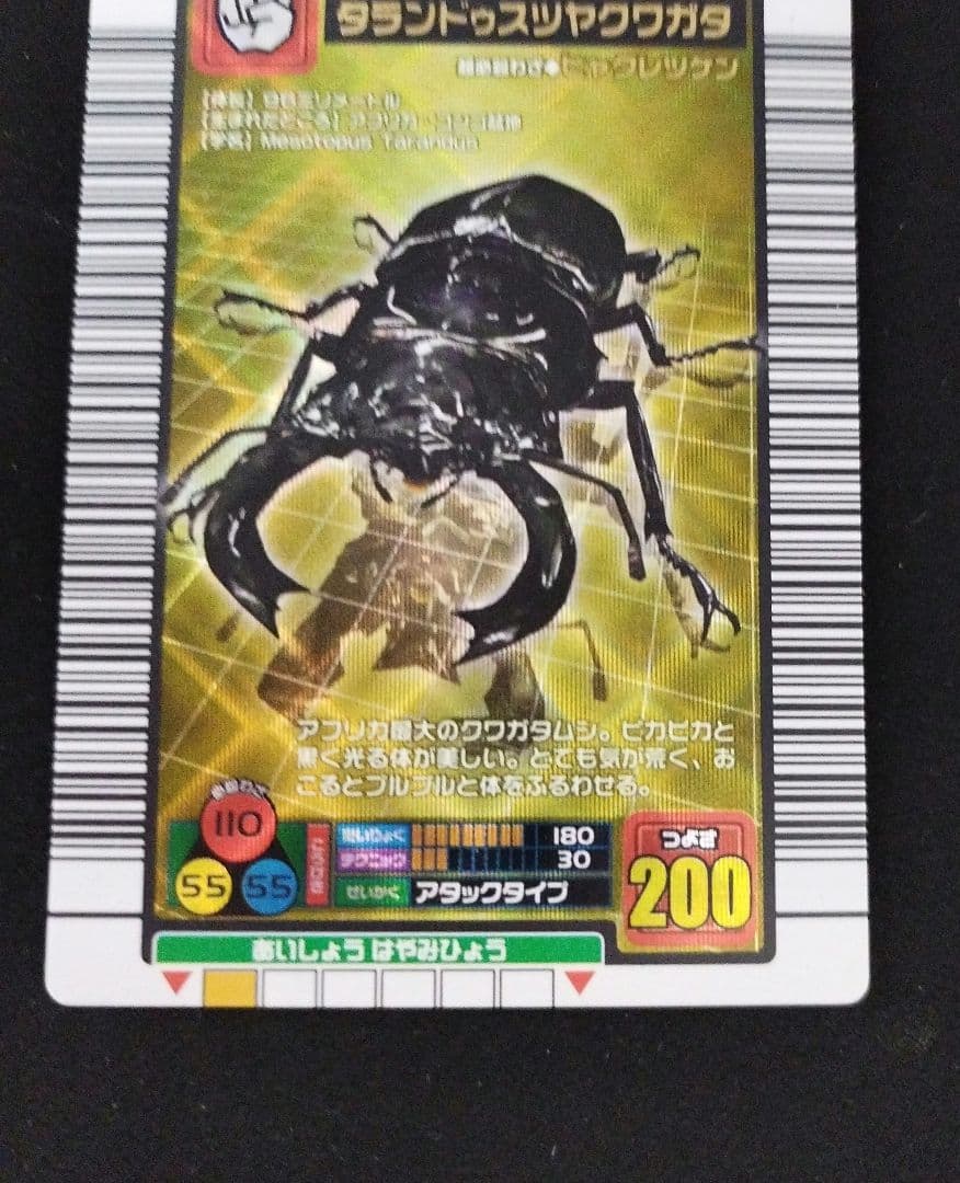 甲虫王者ムシキング タランドゥスツヤクワガタ - メルカリ