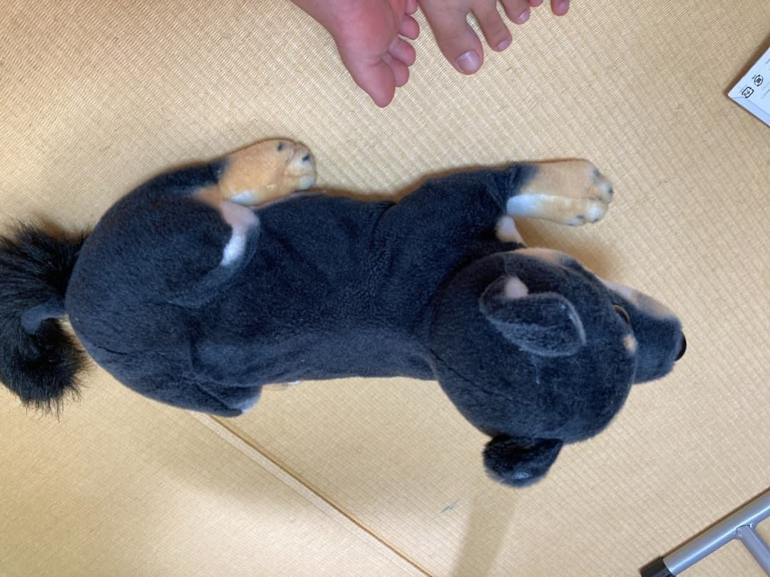 超低価格！犬のぬいぐるみ