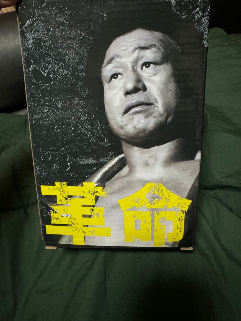 天龍源一郎 引退記念ソフビフィギュア　HAO チョップver 16d