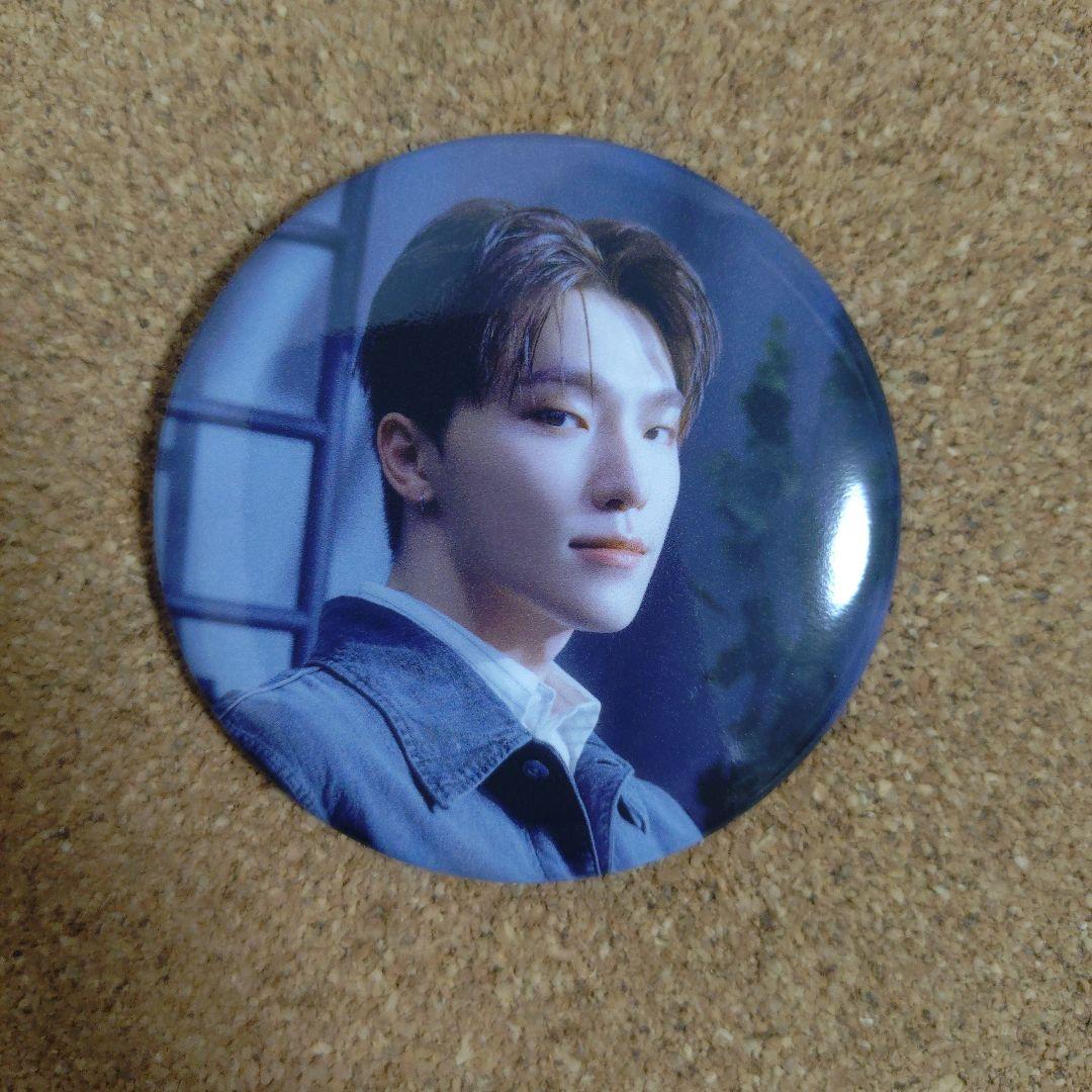 SEVENTEEN ディノ 缶バッジ＆アクリルキーリング - メルカリ