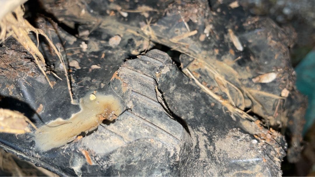 値下げ！Rabbit RKI-81 運搬車　手押し車　絶版クローラー　くろ助