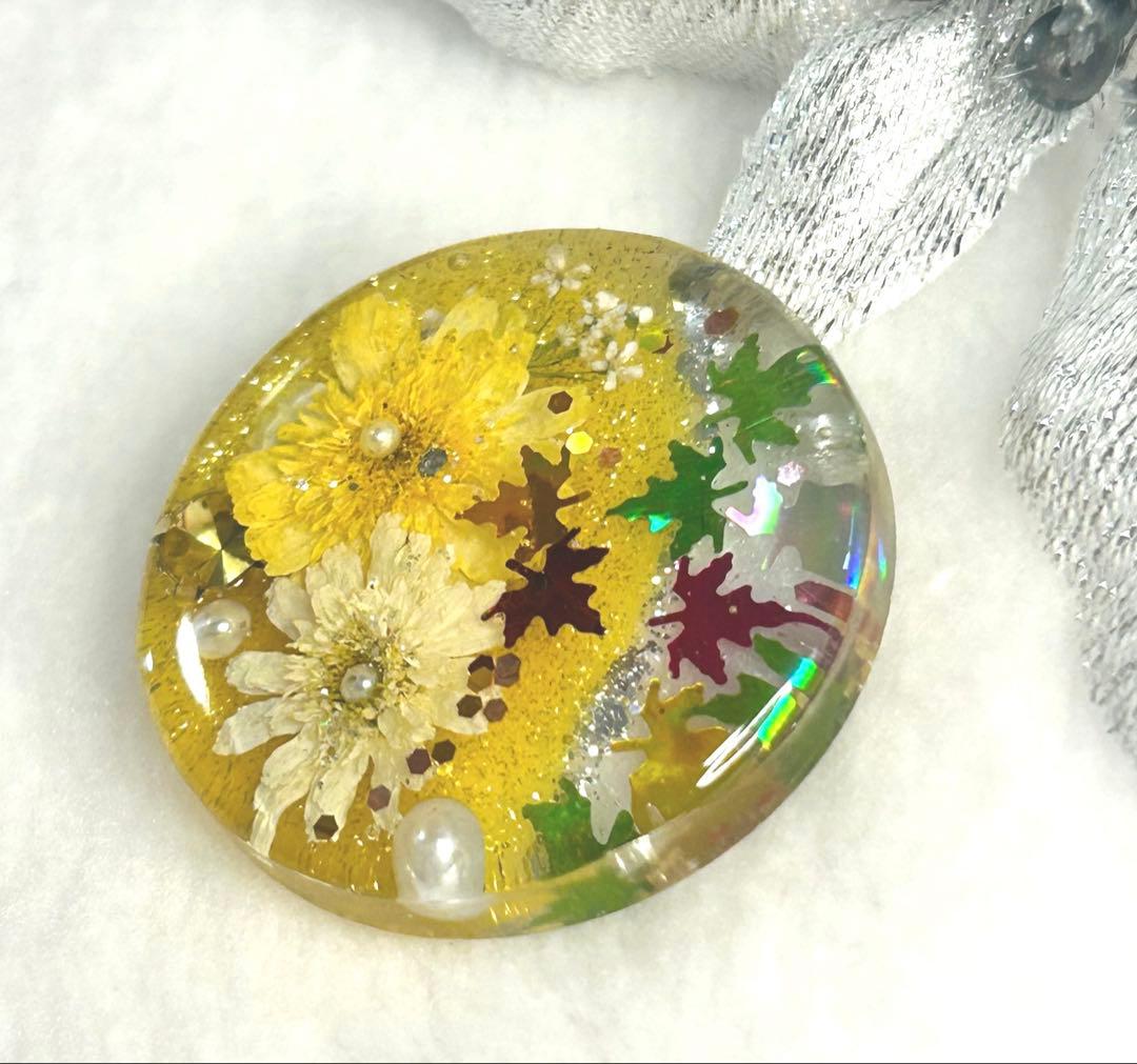 ハンドメイドレジンヘアゴム・ポニーフック・ブローチ・ネックレス♡No.105