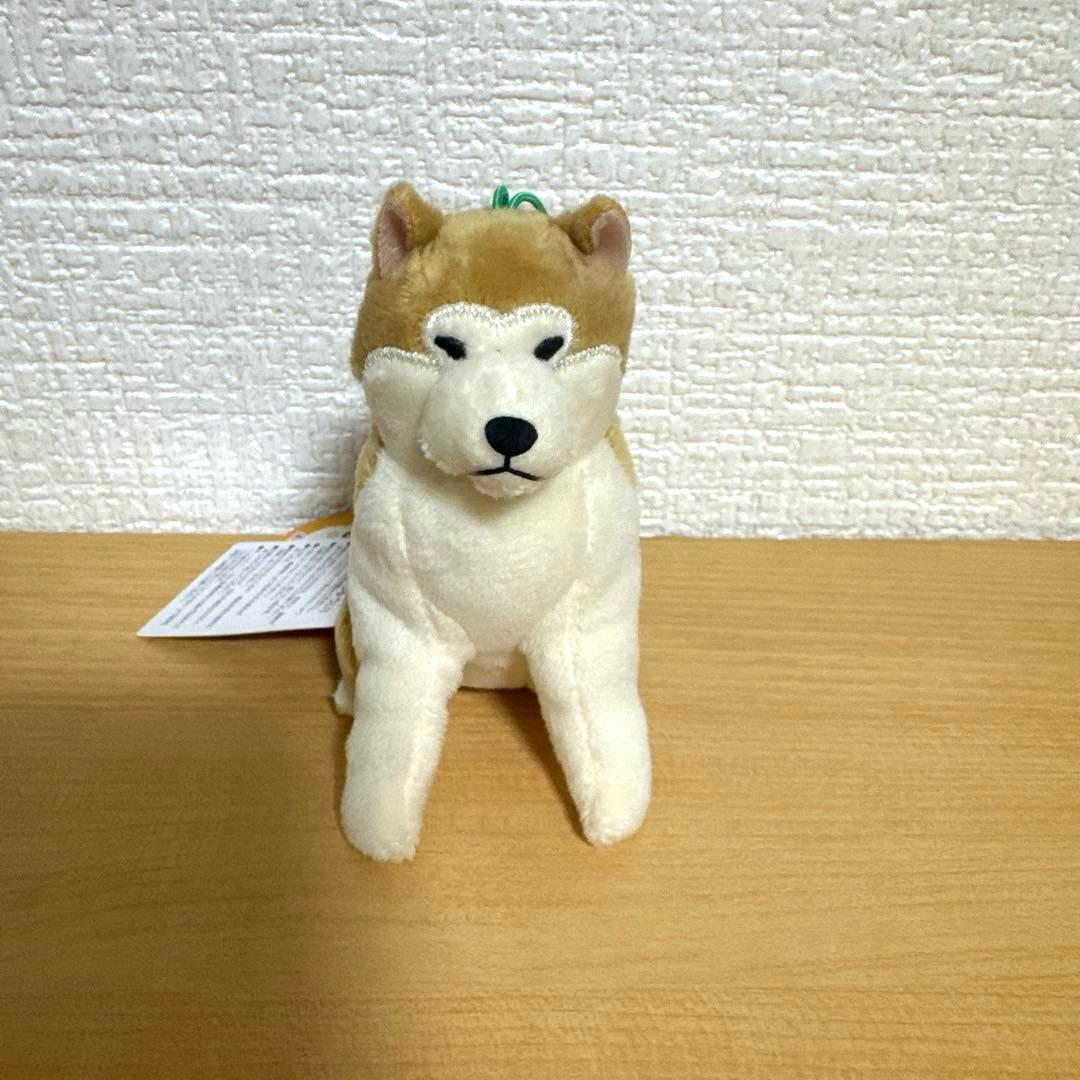 ほっこり秋田犬 はち兵衛 - メルカリ