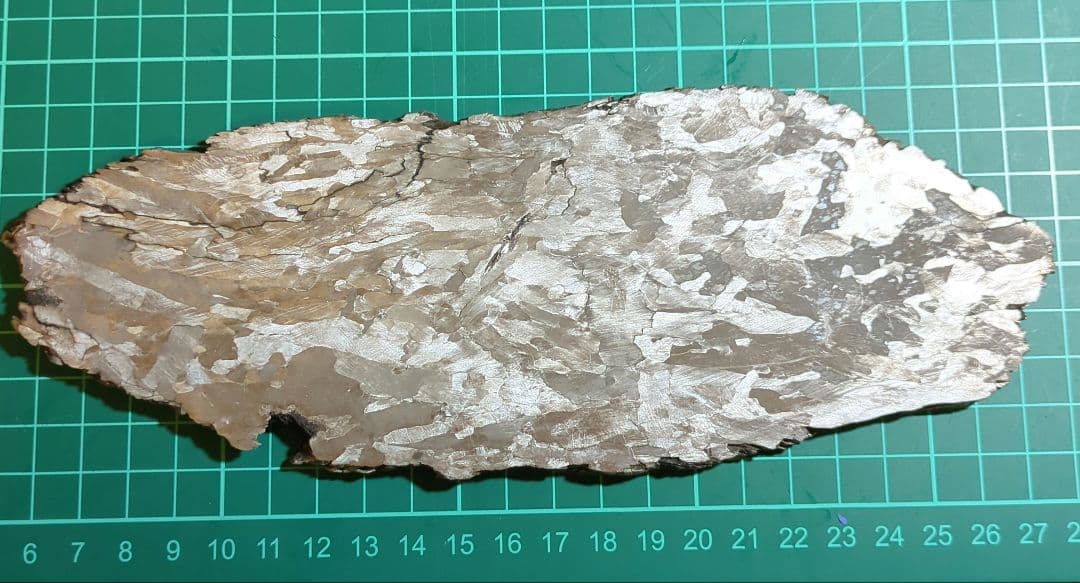 も*も様 カンポデルシエロ隕石 大型スライス