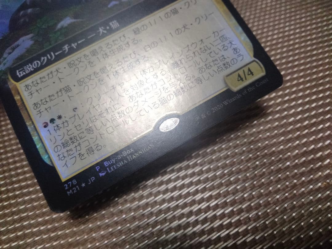 確認用】M21 BOXプロモFOIL 離れられない二匹、リンとセリ 日本語