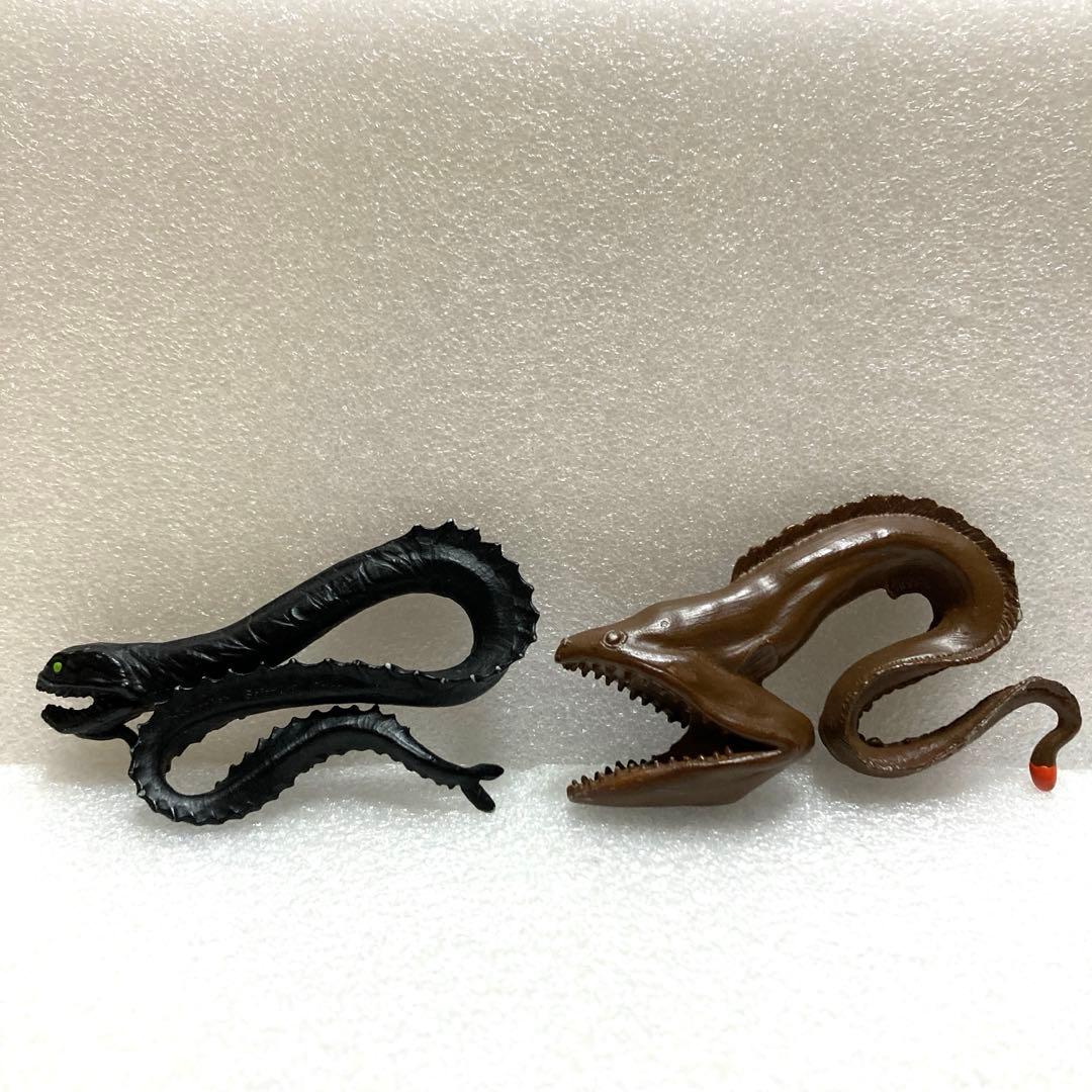 Safari サファリ ドラゴンフィッシュ& フクロウナギ 深海生物