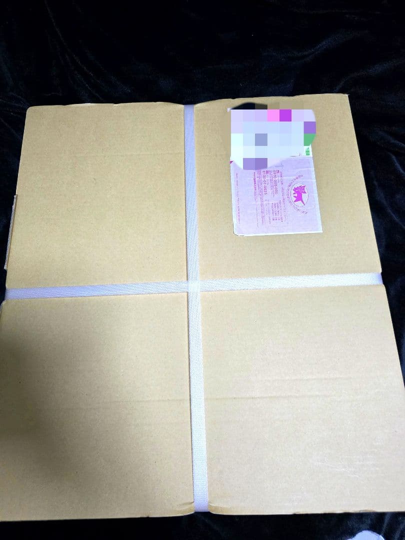 ♡激レア♡ ラプンツェル Disney 高精細複製原画　023/500