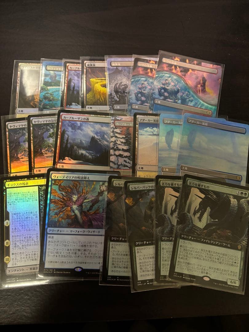 引退品 団結のドミナリア シェオルドレッド まとめ売り foil - メルカリ