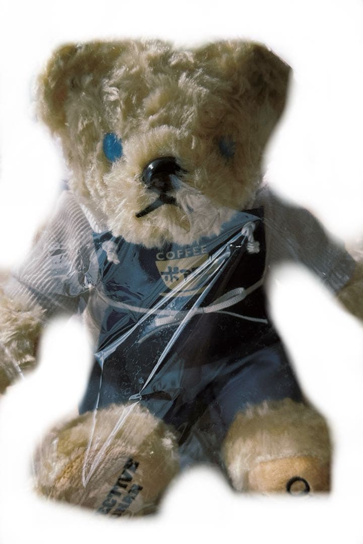 劇場版『名探偵コナン 隻眼の残像』 テディベア(安室透ver.） - メルカリ