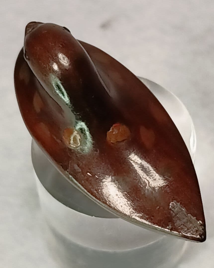 柘植彫 象嵌 根付「花筏 図 水鳥 と 桜の花びら 」 無銘だが名品