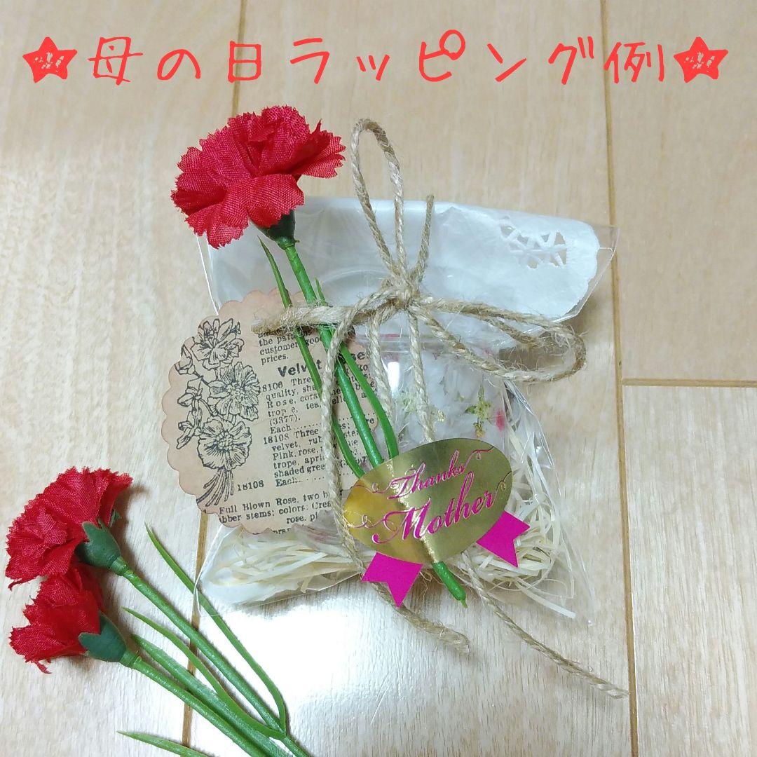 No.63 ゾウのエジプシャングラスハーバリウム【Mサイズ】お花畑