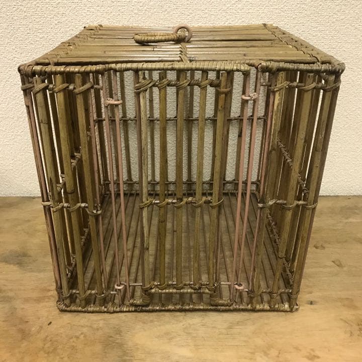 アルログラタンとワイヤーの鳥籠