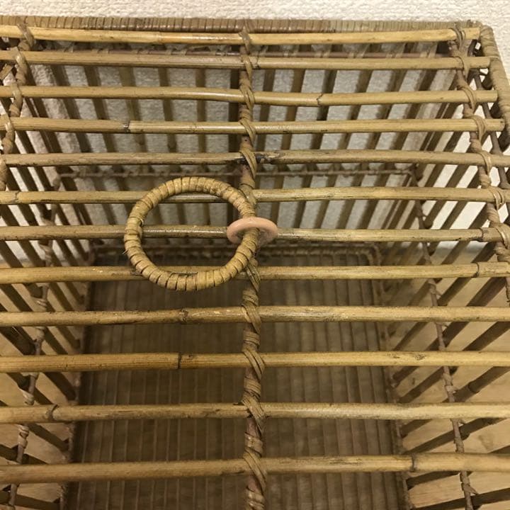 アルログラタンとワイヤーの鳥籠