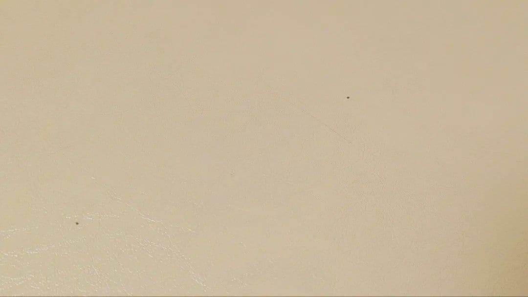 高田ベッド製作所】粉体ムーヴ(有孔) 高級マッサージベッド折りたたみ