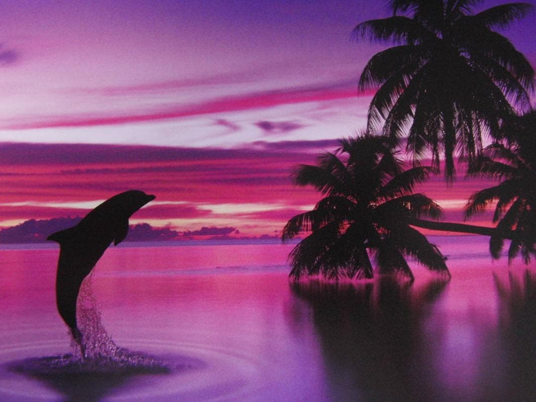 クリスチャン・ラッセン、「サイレント イリュージョン」 - メルカリ