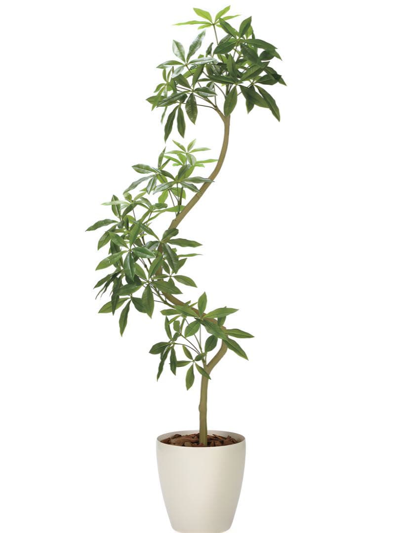 光触媒　人工観葉植物　ウォールグリーン　フェイクグリーン　ツイストパキラ2.1