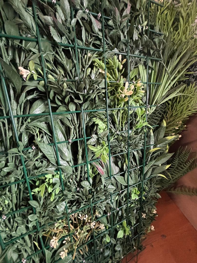 岐阜引き取り ウォールグリーン 人工観葉植物 6セット - メルカリ