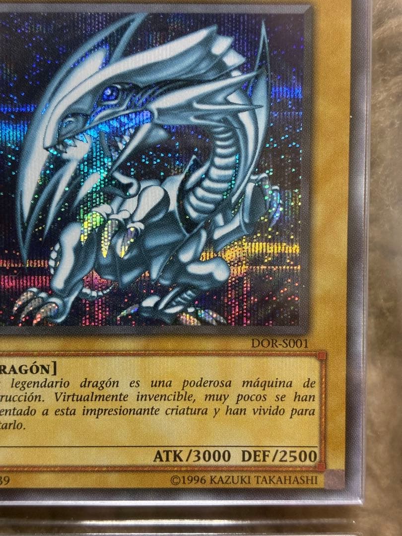 青眼の白龍 DOR ARS8