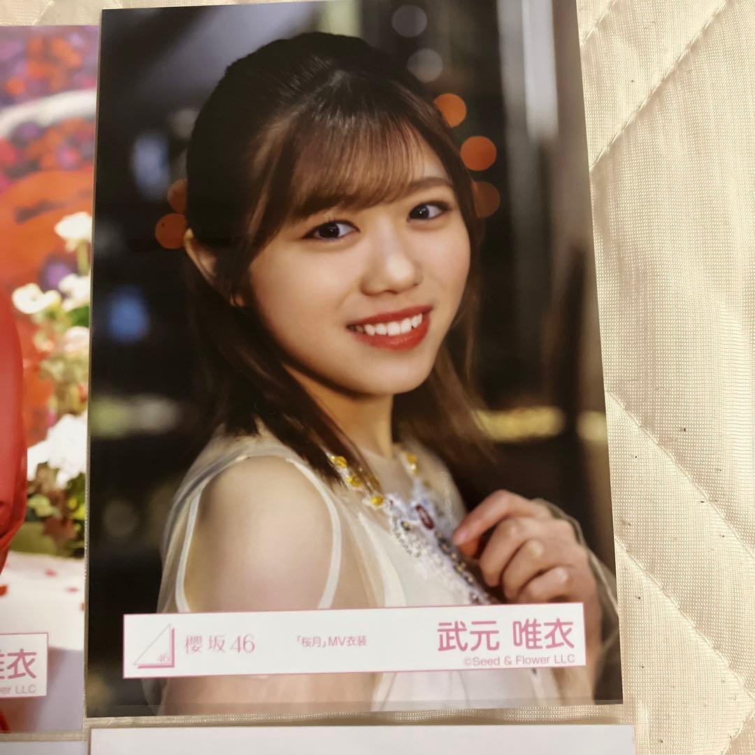 櫻坂46 武元唯衣 生写真 まとめ売り - メルカリ