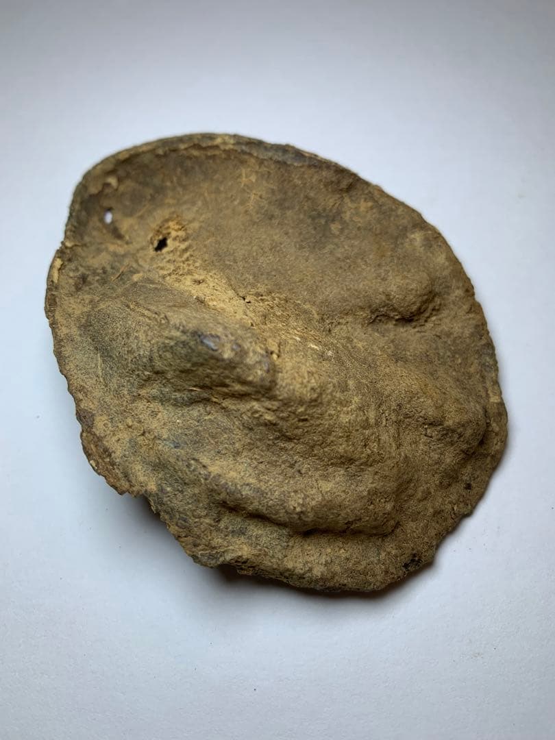 香木 ベトナム産  極品沈界9.275g 最高級沈香 聞香お香 沈香 伽羅 香道