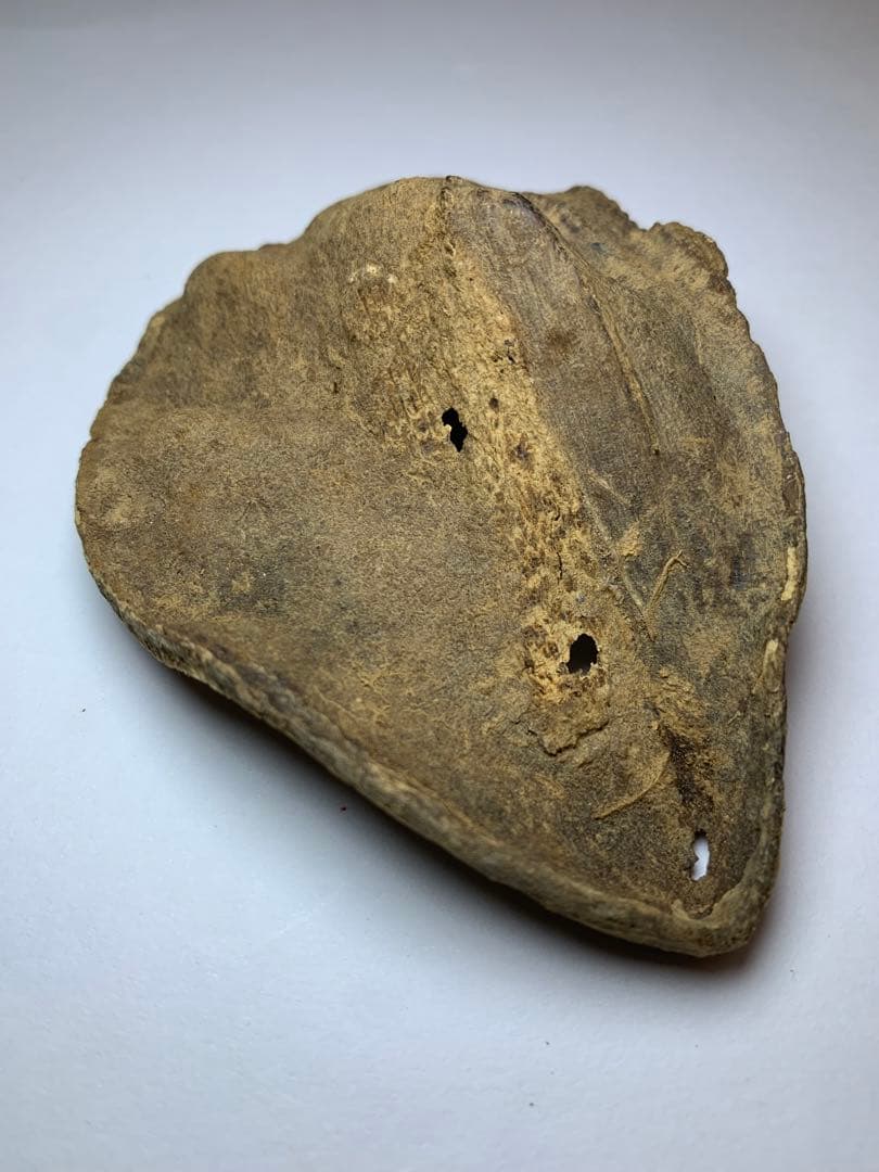 香木 ベトナム産  極品沈界9.275g 最高級沈香 聞香お香 沈香 伽羅 香道