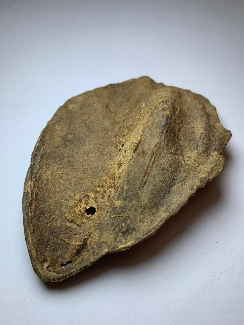 香木 ベトナム産  極品沈界9.275g 最高級沈香 聞香お香 沈香 伽羅 香道