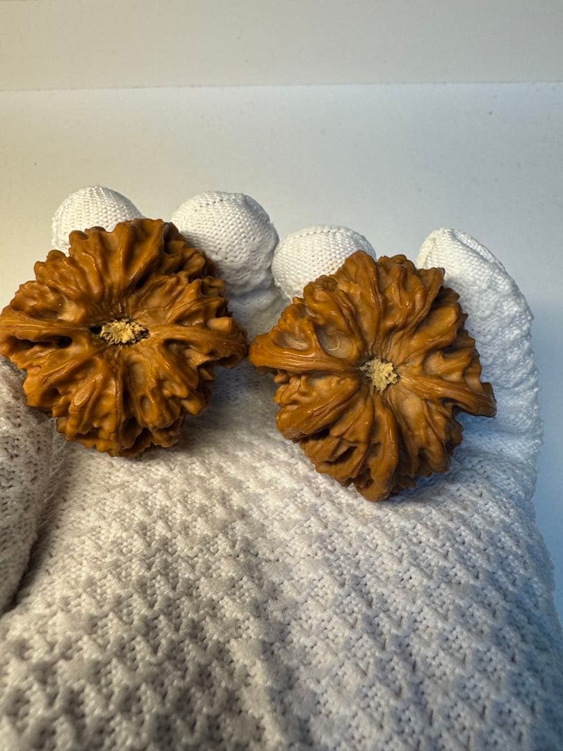 文玩核桃 龍门涧