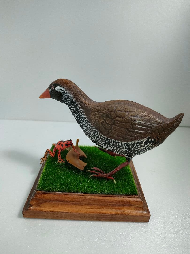 ヤンバルクイナ　バードカービング