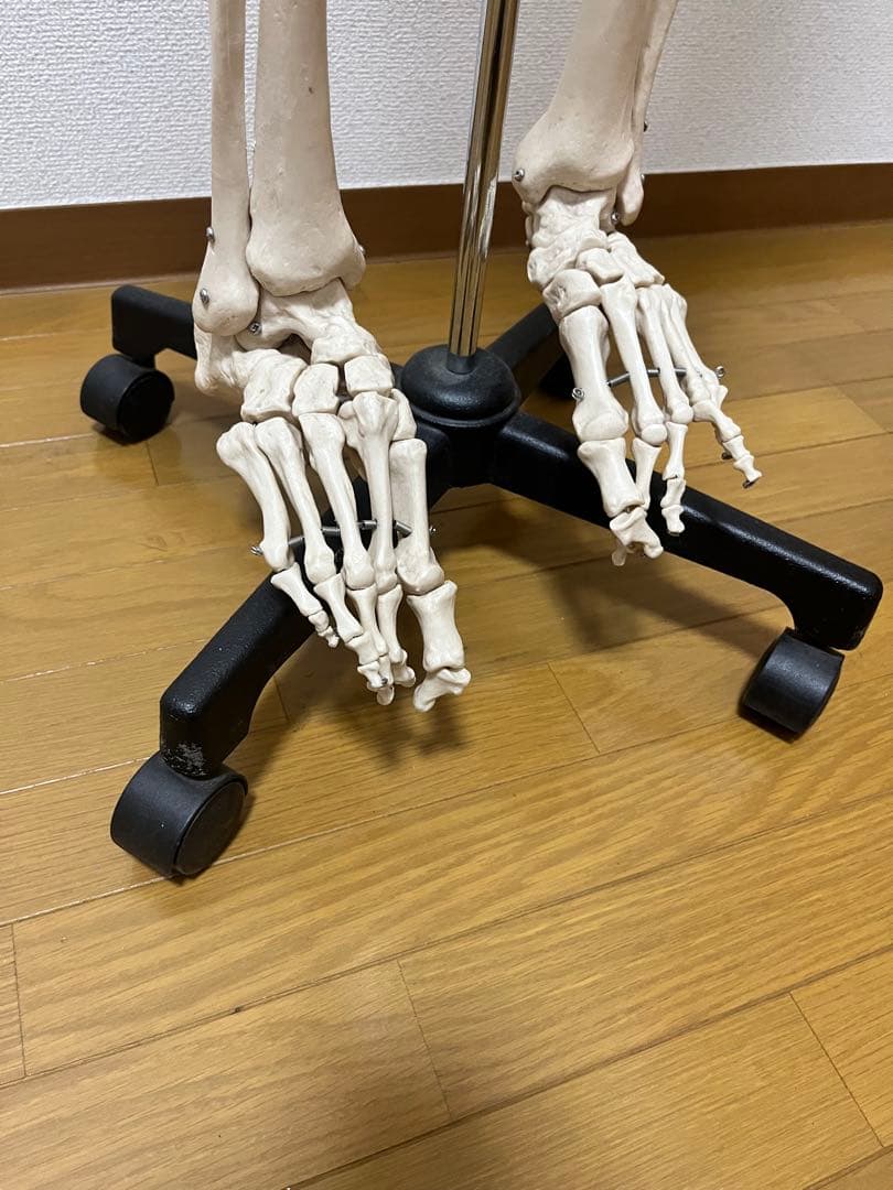 人体模型 約170cm キャスター付き