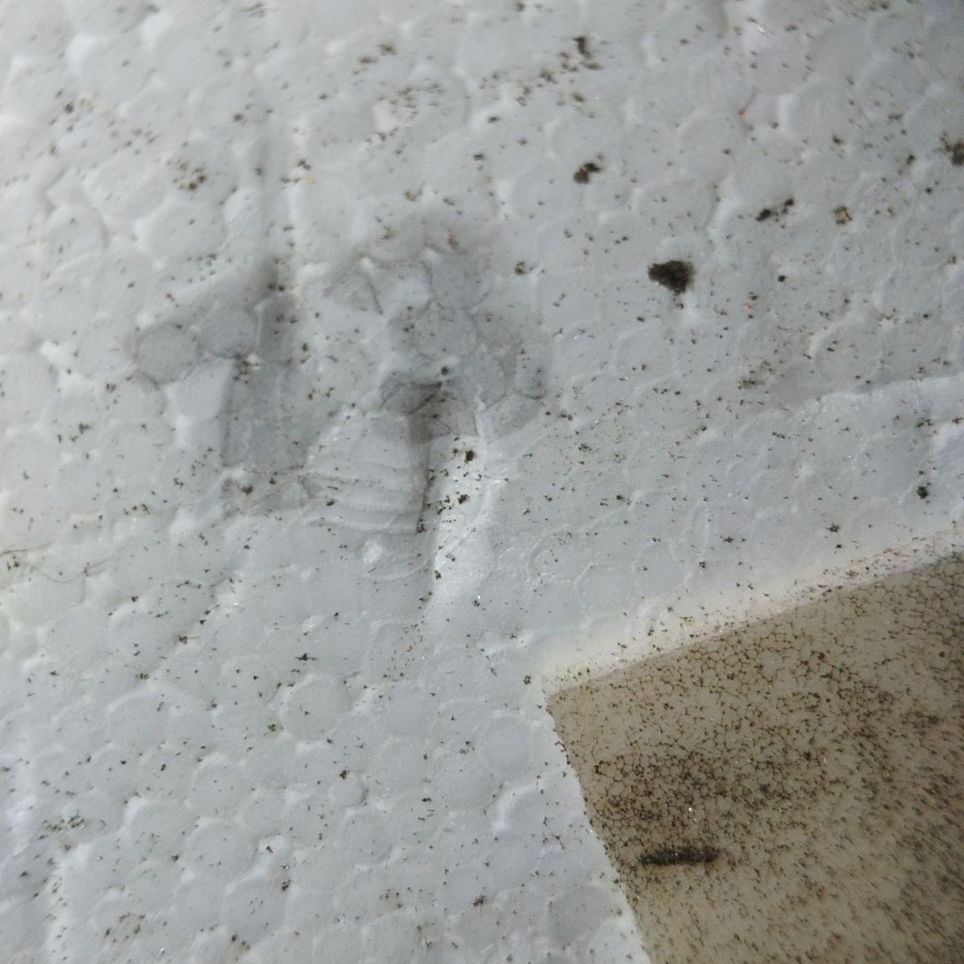 【cromwell クロムウェル】ヴィンテージ　ジェットヘルメット　XS　英国