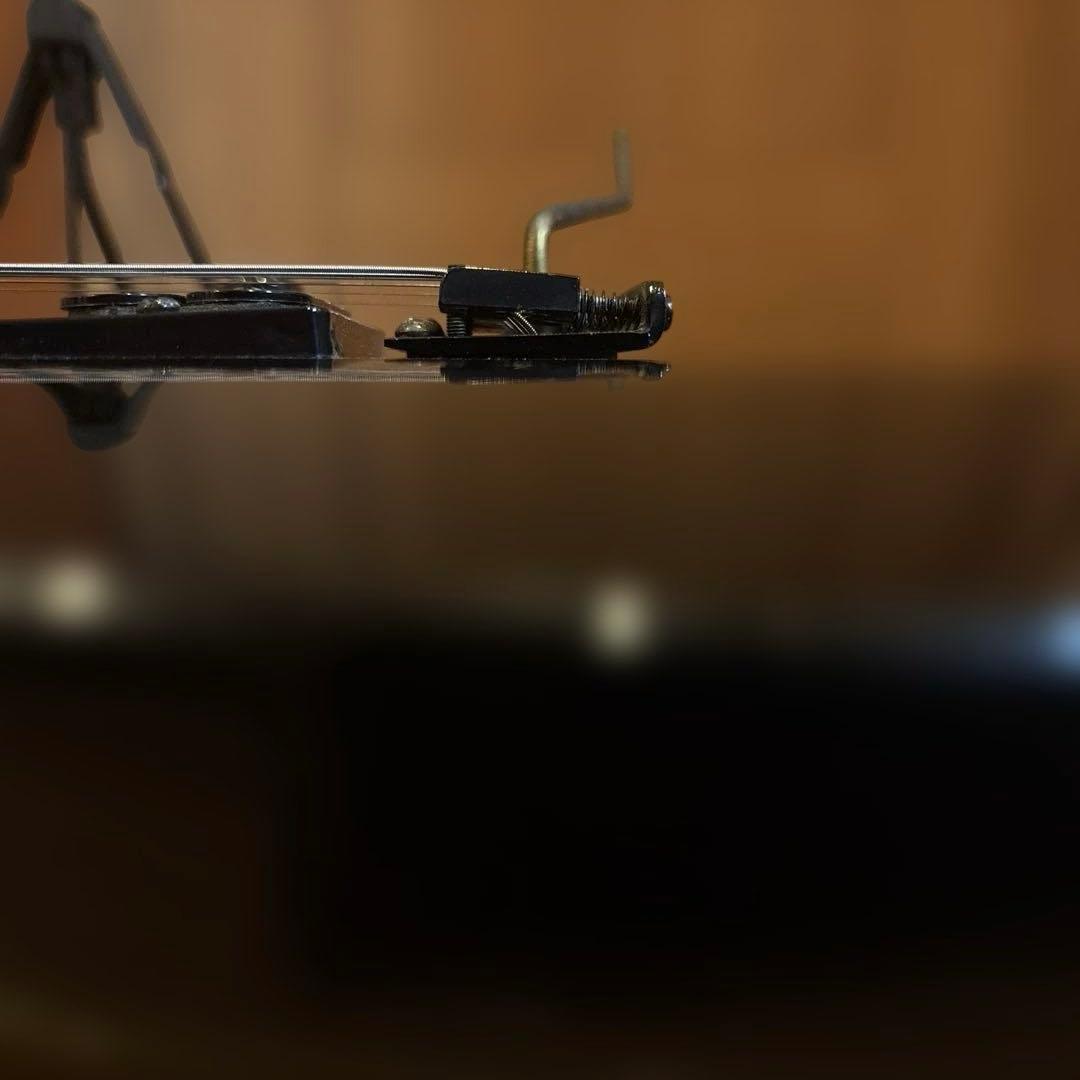 Aria Pro II CT-ST3 ブラックパーツ仕様 トレモロアーム付 - メルカリ