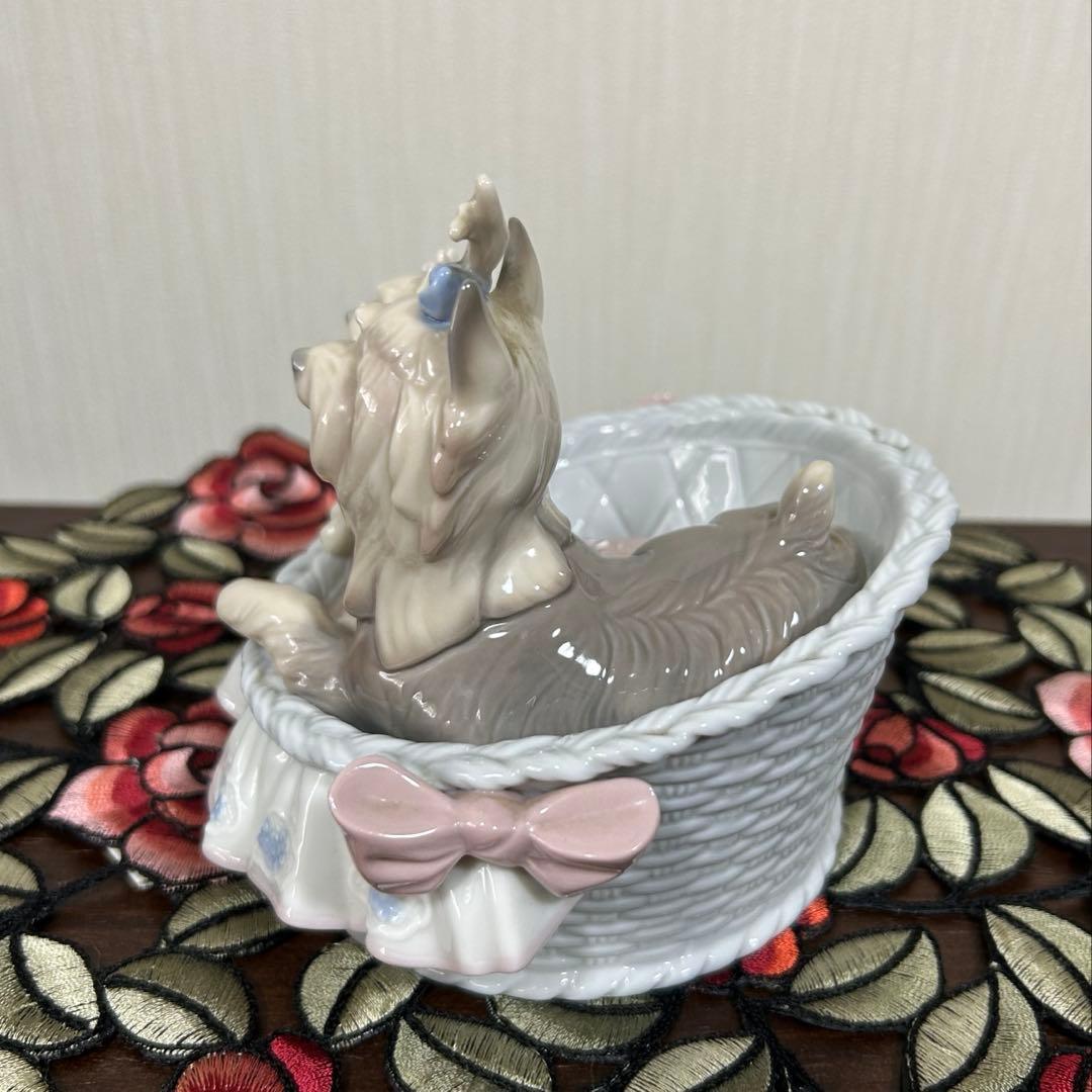 【ラブ自己紹介を見て下さいね♡】リヤドロ　犬「ここが好き」