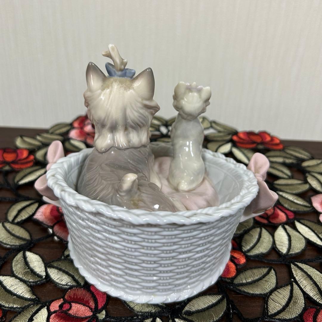 【ラブ自己紹介を見て下さいね♡】リヤドロ　犬「ここが好き」