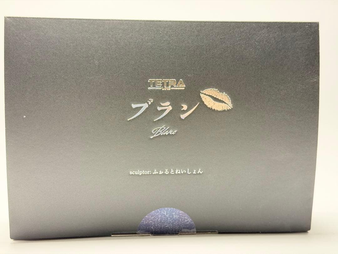 ブラン•ノワール姉妹セット勝利の女神NIKKE ふぉるとねいしょんガレージキット