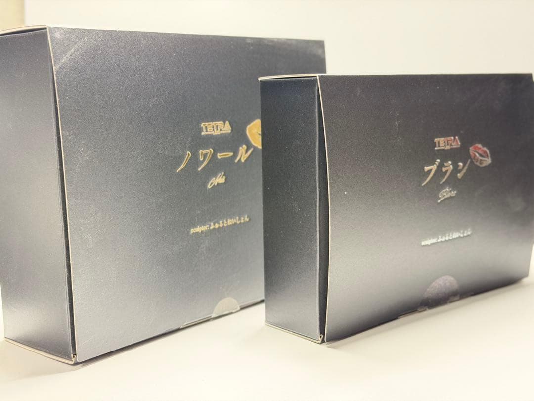 ブラン•ノワール姉妹セット勝利の女神NIKKE ふぉるとねいしょんガレージキット