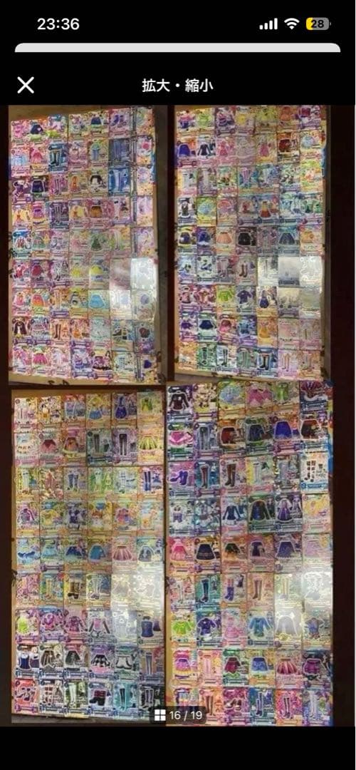 シャムタビー✨