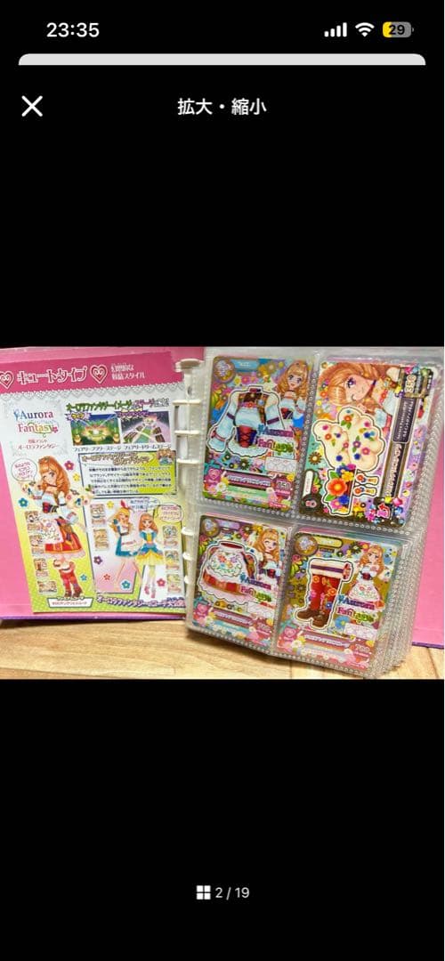 シャムタビー✨