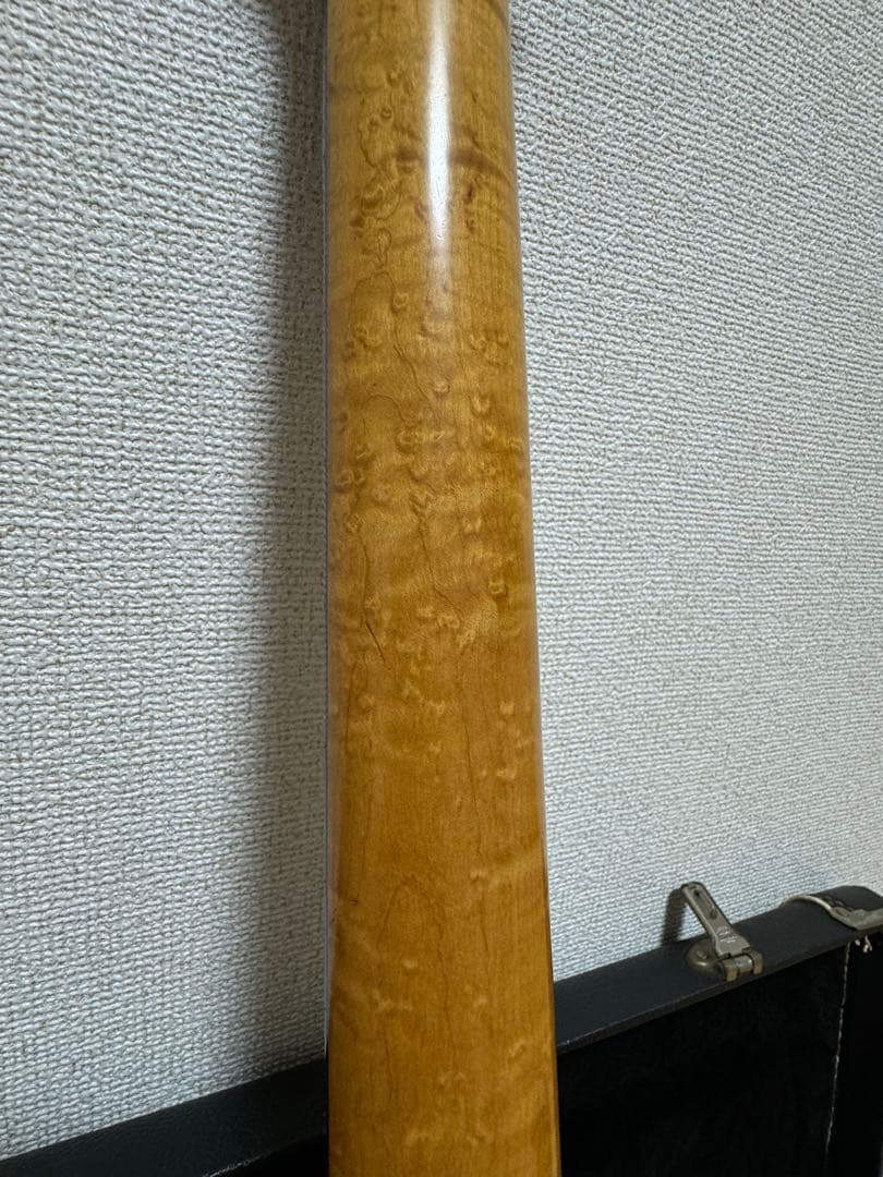 SCHECTER USA ストラトキャスター　ハードケース付属