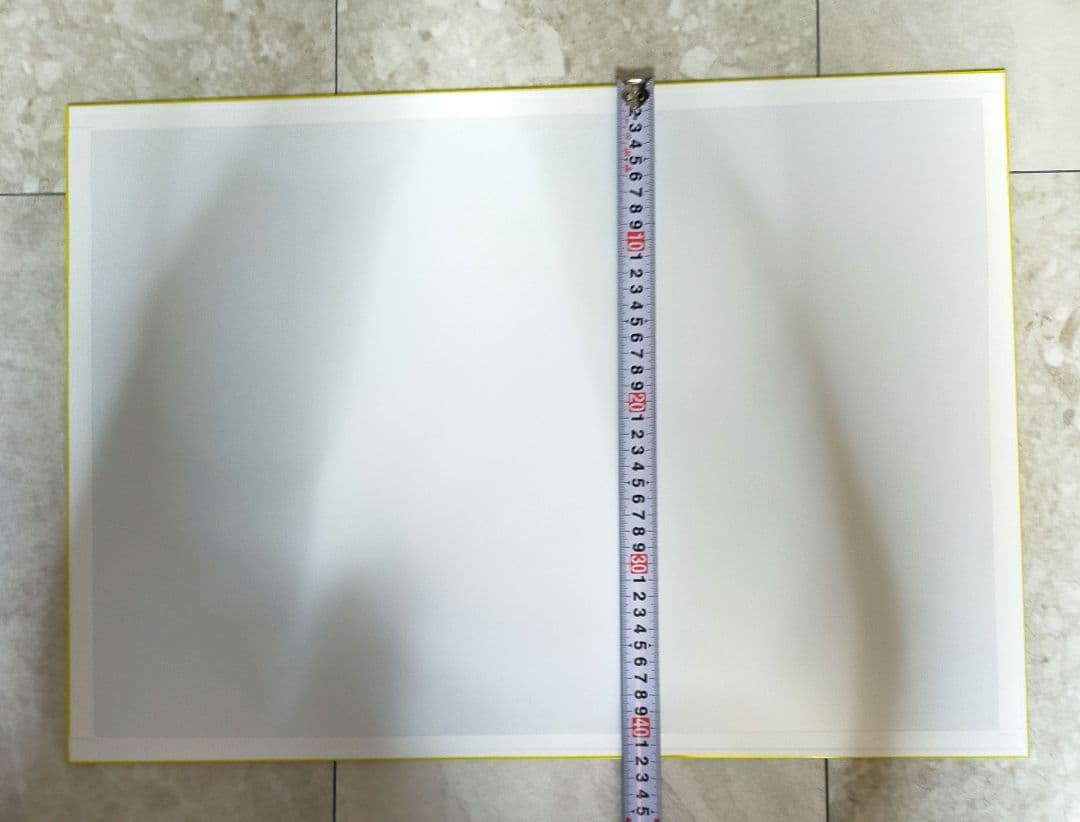 Libertywalk　ハコスカ　パネル