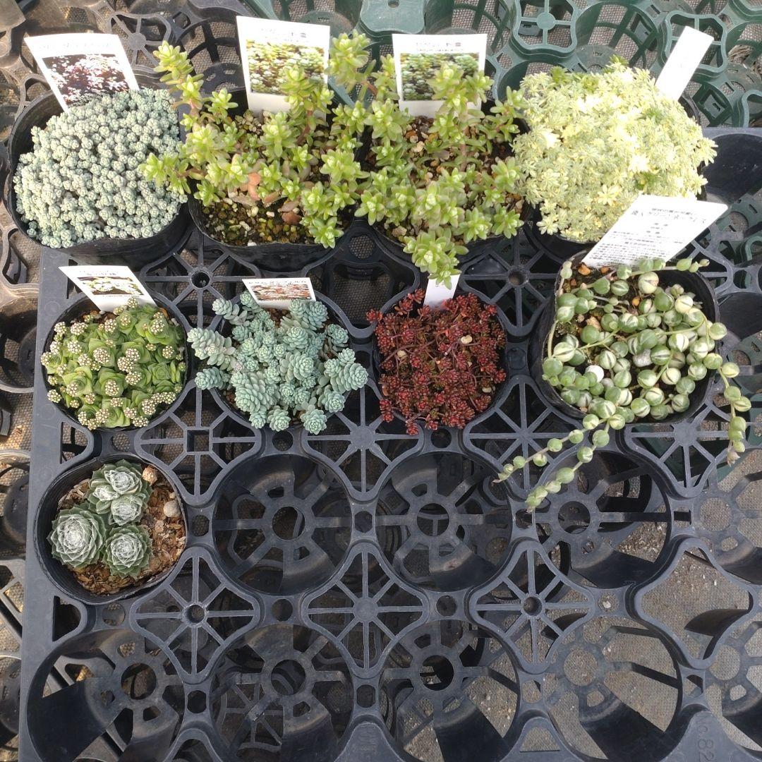 mimizuku ♪(´ε｀ )さん専用