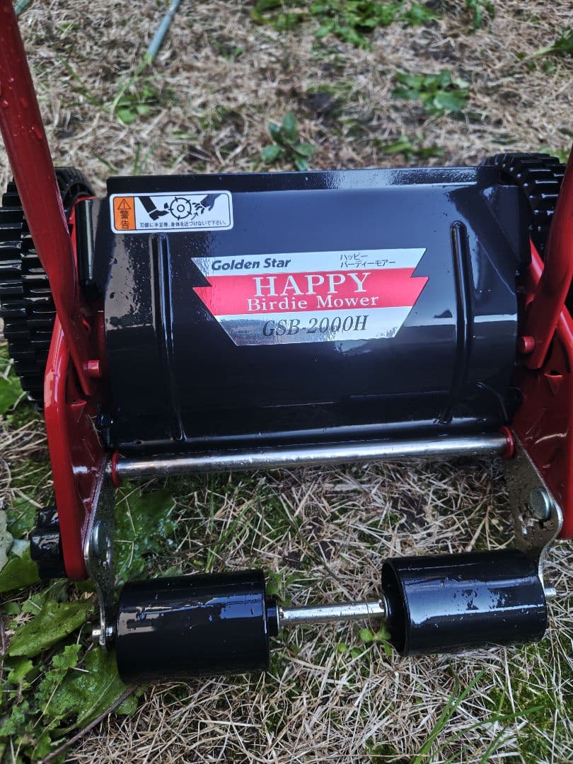 キンボシ ハッピーバーディーモア ゴールデンスター