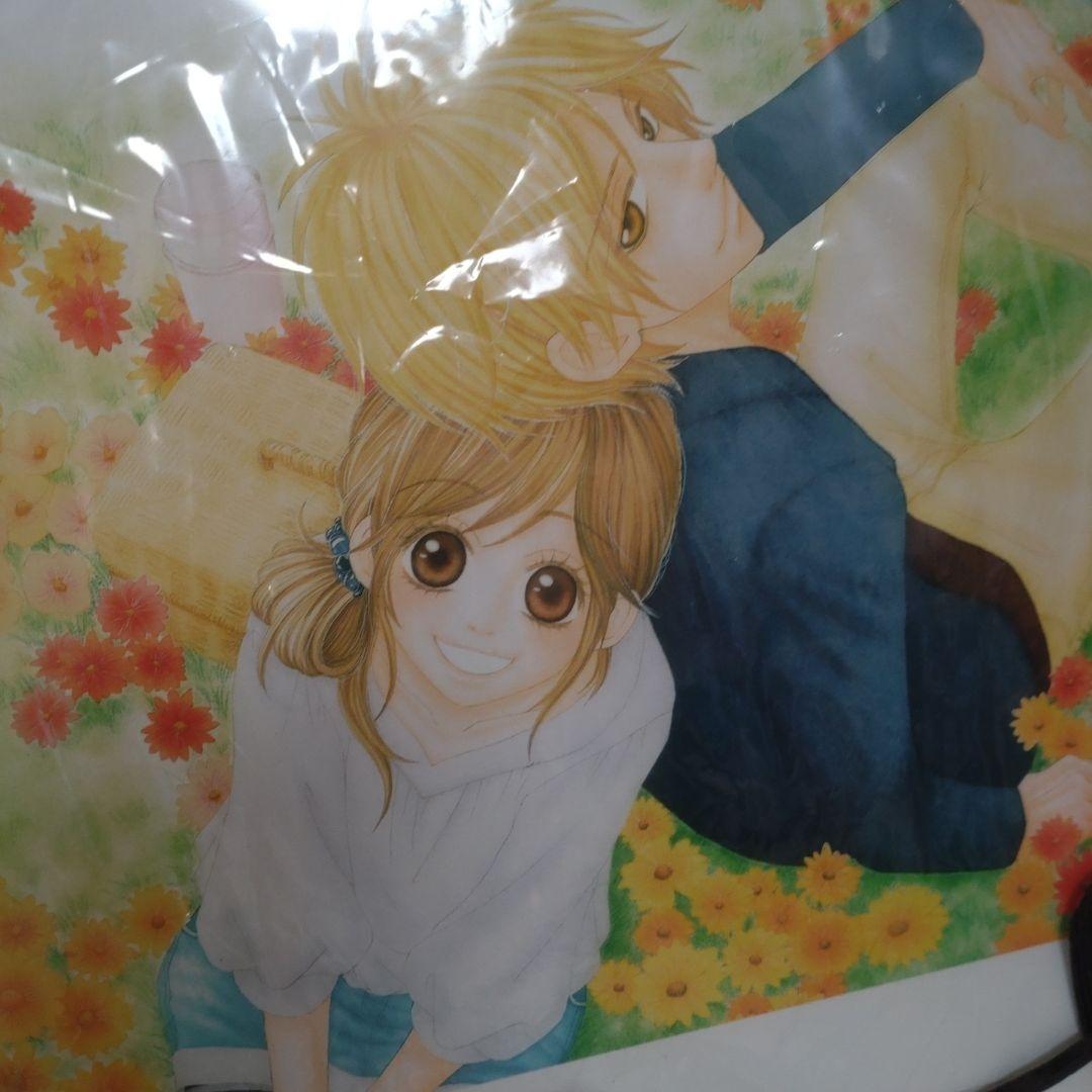 藤沢志月先生作品イラスト　額入り原画　キミのとなりで青春中。プリマグラフィ