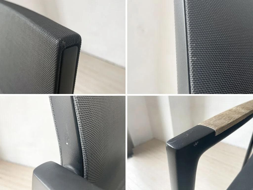 【DEDON】ディーン Dean アームチェア ガーデンチェア