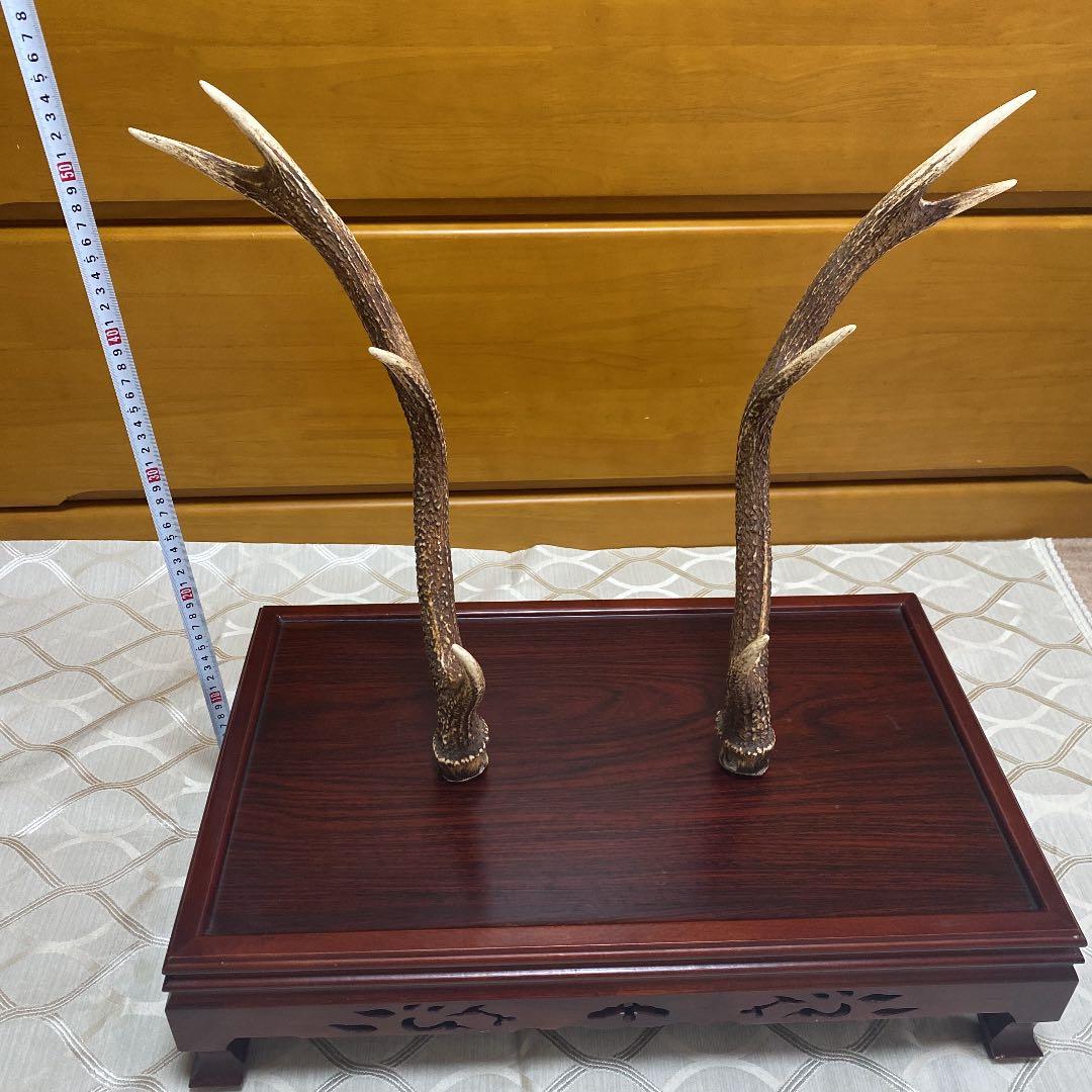 鹿の角　けやき台付き