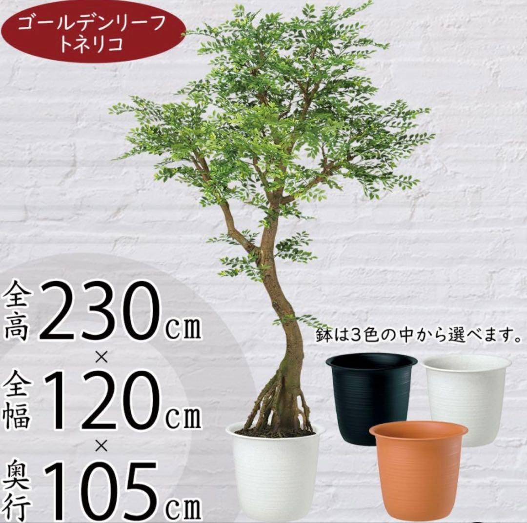 光触媒　人工観葉植物　ウォールグリーン　フェイクグリーン　ゴールデンリーフ鉢付き