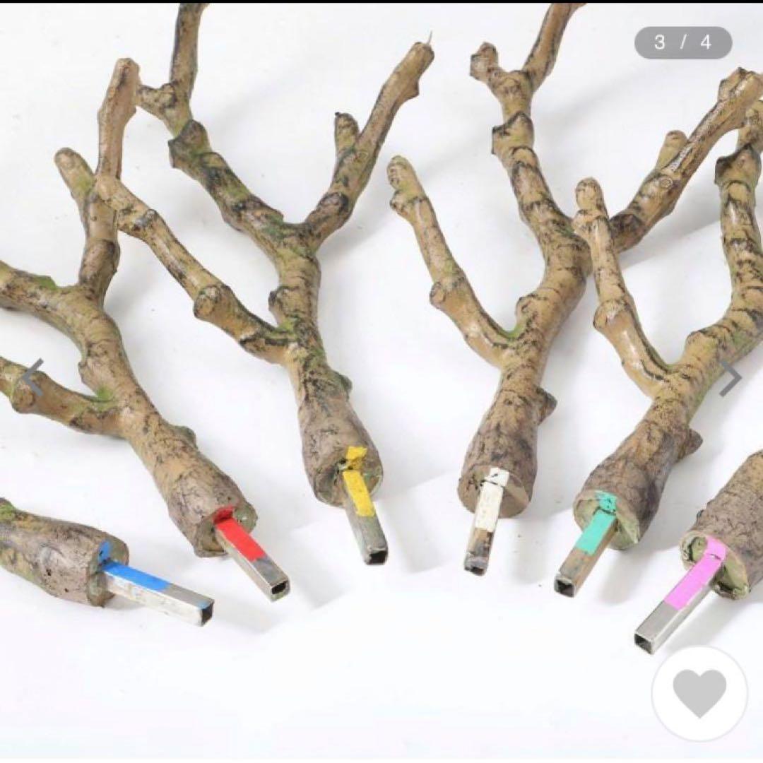 光触媒　人工観葉植物　ウォールグリーン　フェイクグリーン　ゴールデンリーフ鉢付き