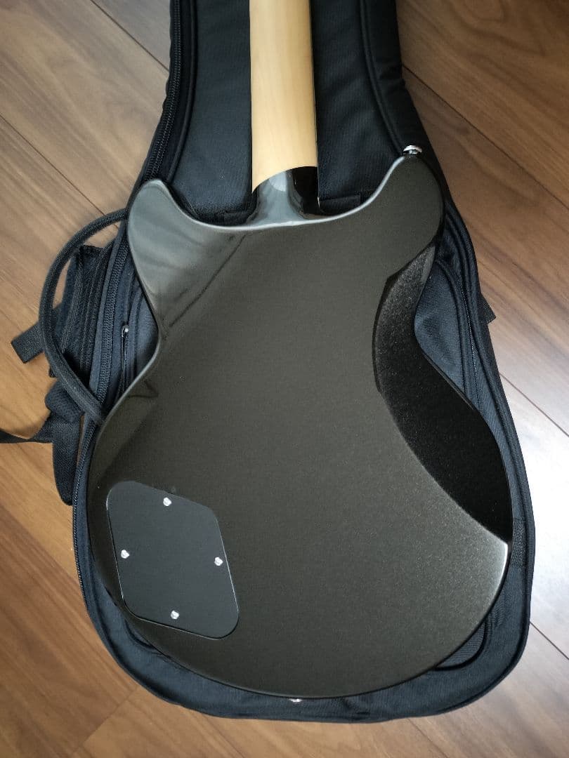 ほぼ未使用 D'angelico Premier Brighton Mod